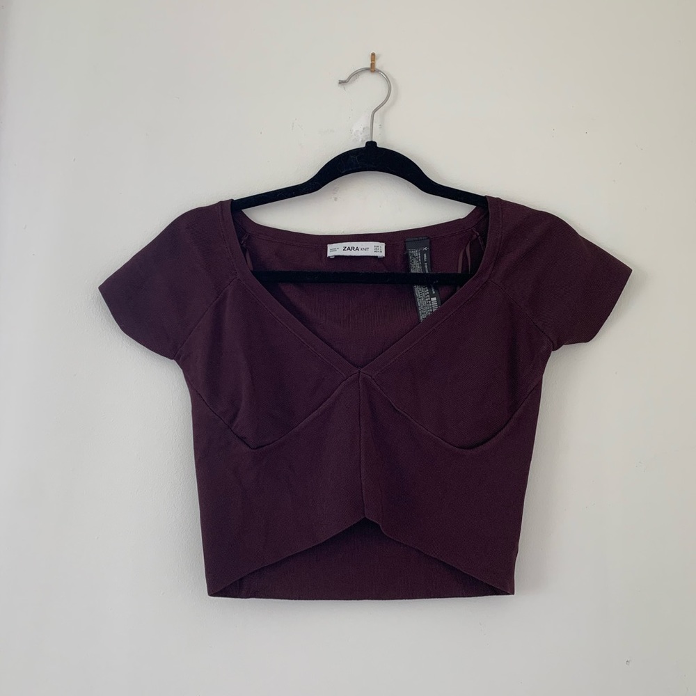 Zara Maroon(ish) Crop Top